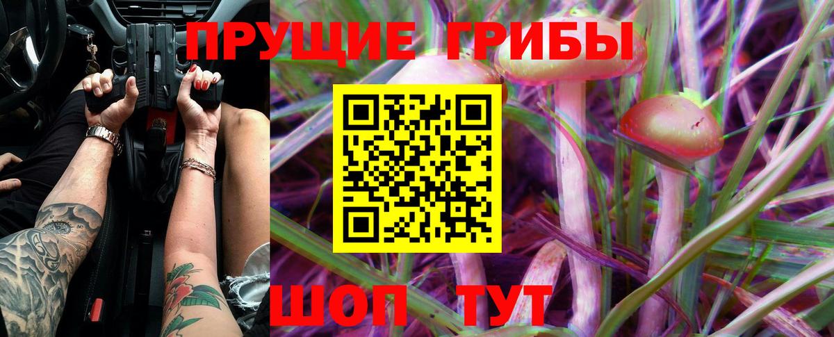 Ревда  Псилоцибиновые грибы GOLDEN TEACHER  Вход с VPN 